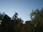Info , hladam svedkov pozorovania  6.10.2012 o 17 :50 hod (okolie Košic , Prešova )na severo zapade . ide o pomaly stupajuce svetlo najjasnešie na oblohe po 5 sekundach sa zhaslo a pokračovalo na severo vychod