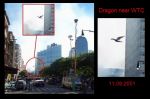 Při leteckém ataku na budovy WTC, ukazali sa tam demoni pod postavou UFO a drakov, viditelni len cez kamery a fotaky. Demoni potrafia zamenit sa v co chcu. *** V tom linku je priklad ako jinn skusa utec pred autom, a zmenia sa v rozne vecy: http://www.youtube.com/watch?v=9KN78GLaQxc