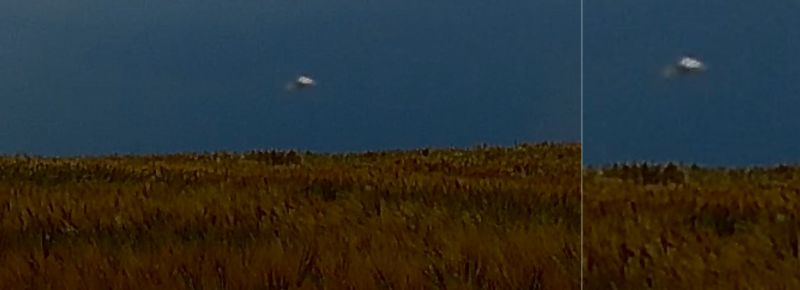 Snímok z videozáznamu s intervalom (- 1 sekundu) pri natáčaní búrky a objektom nad obilím, ktorý vyzerá odlišne od motýľov a vtákov. / 13.06.2018 Špačince
